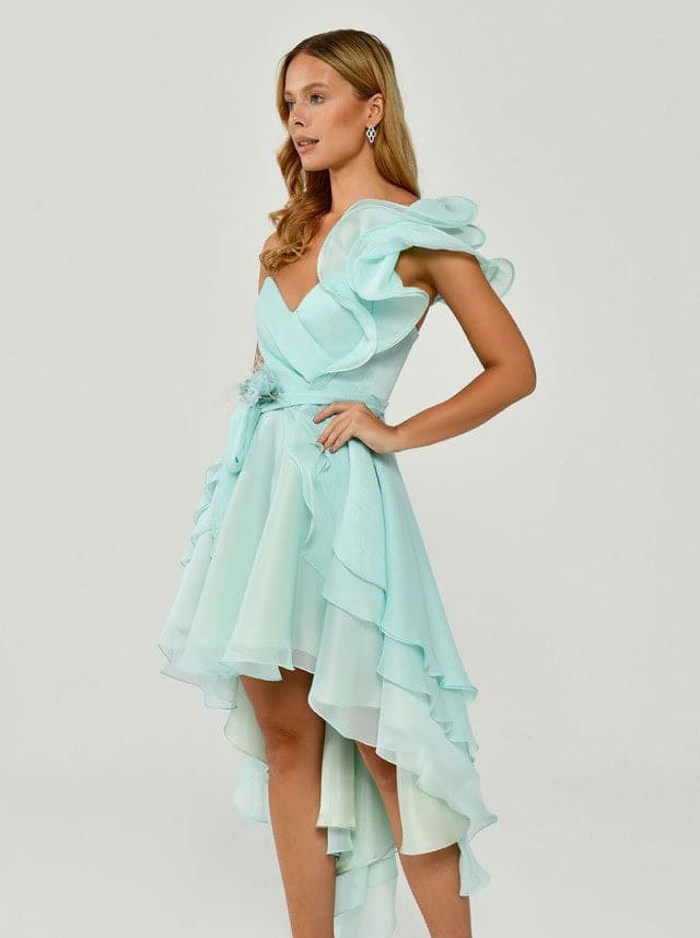 ADRIANA DRESS - FARACHI